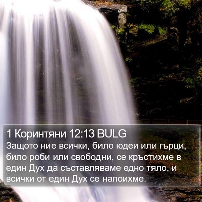 1 Коринтяни 12:13 BULG Bible Verse Image