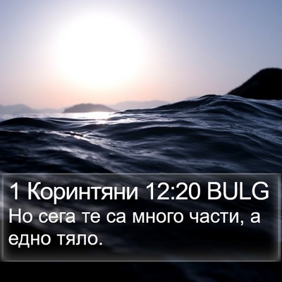 1 Коринтяни 12:20 BULG Bible Verse Image