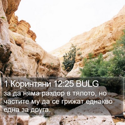 1 Коринтяни 12:25 BULG Bible Verse Image