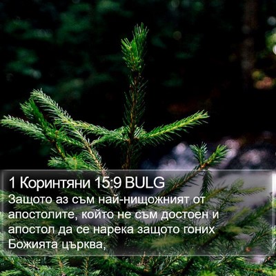 1 Коринтяни 15:9 BULG Bible Verse Image