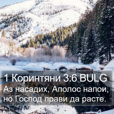 1 Коринтяни 3:6 BULG Bible Verse Image