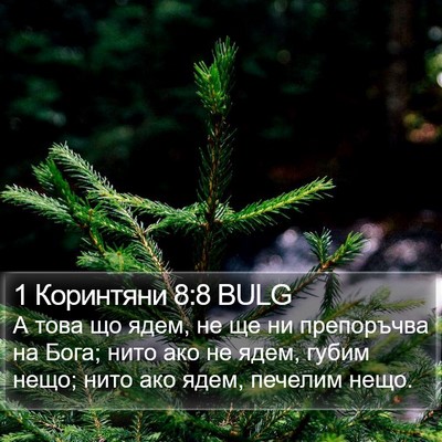1 Коринтяни 8:8 BULG Bible Verse Image