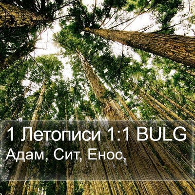 1 Летописи 1:1 BULG Bible Verse Image