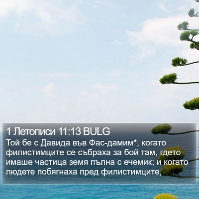 1 Летописи 11:13 BULG Bible Verse Image