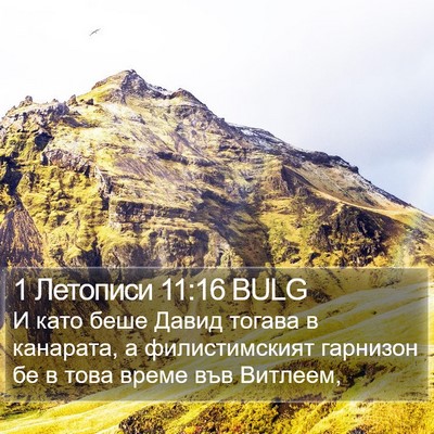 1 Летописи 11:16 BULG Bible Verse Image