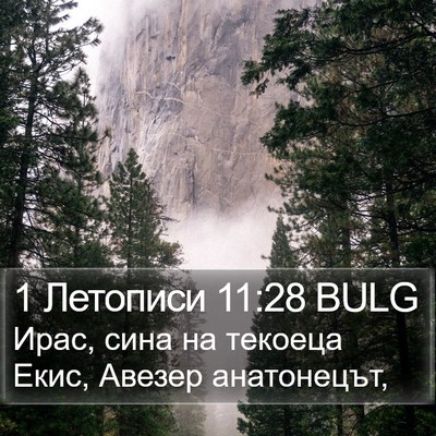 1 Летописи 11:28 BULG Bible Verse Image