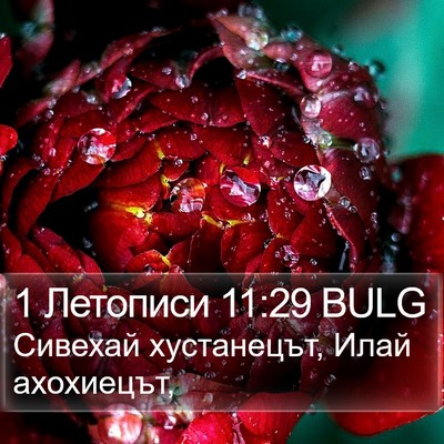 1 Летописи 11:29 BULG Bible Verse Image