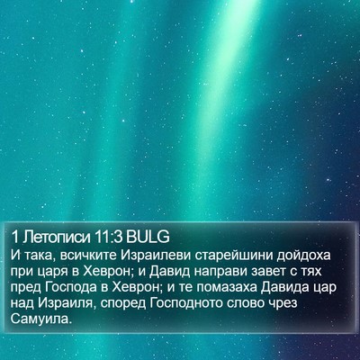 1 Летописи 11:3 BULG Bible Verse Image