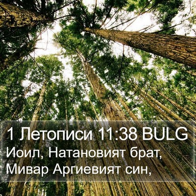 1 Летописи 11:38 BULG Bible Verse Image