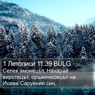 1 Летописи 11:39 BULG Bible Verse Image