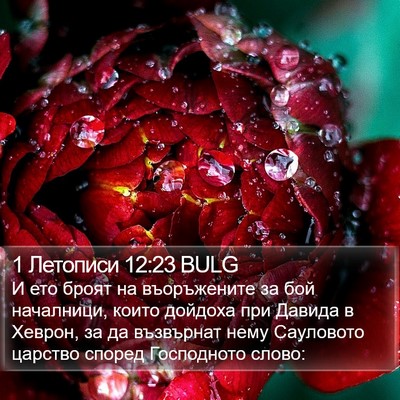 1 Летописи 12:23 BULG Bible Verse Image