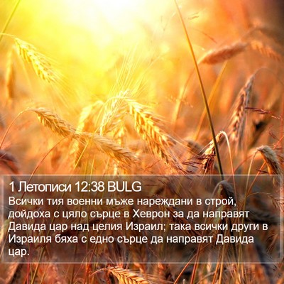 1 Летописи 12:38 BULG Bible Verse Image