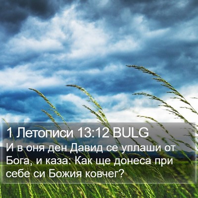1 Летописи 13:12 BULG Bible Verse Image