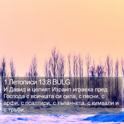 1 Летописи 13:8 BULG Bible Verse Image