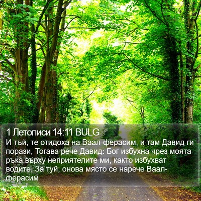 1 Летописи 14:11 BULG Bible Verse Image