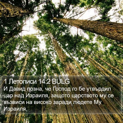 1 Летописи 14:2 BULG Bible Verse Image