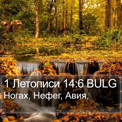 1 Летописи 14:6 BULG Bible Verse Image