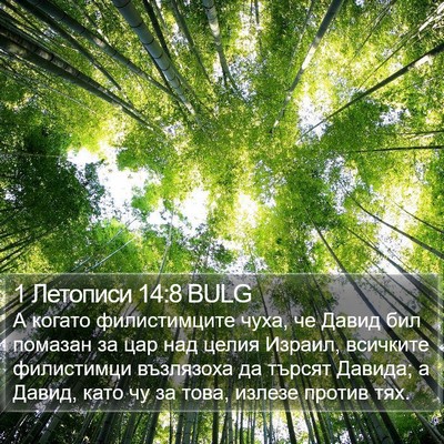 1 Летописи 14:8 BULG Bible Verse Image