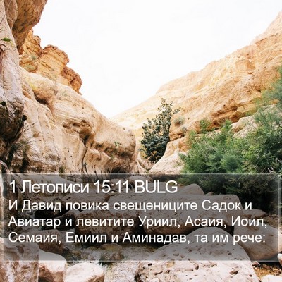 1 Летописи 15:11 BULG Bible Verse Image