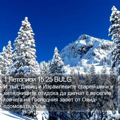 1 Летописи 15:25 BULG Bible Verse Image