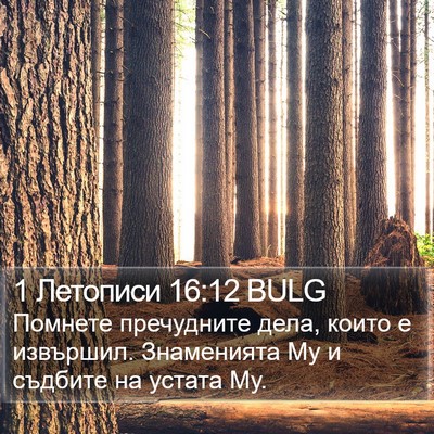 1 Летописи 16:12 BULG Bible Verse Image