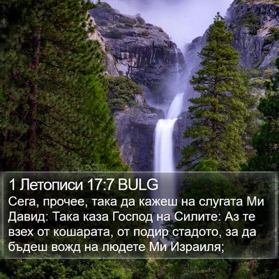 1 Летописи 17:7 BULG Bible Verse Image