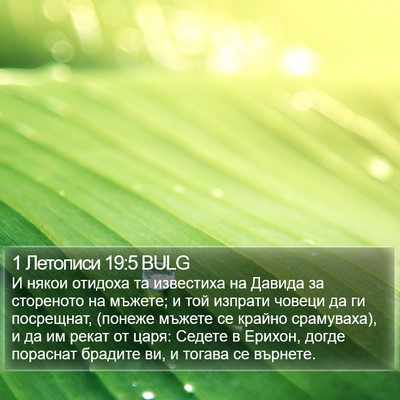 1 Летописи 19:5 BULG Bible Verse Image
