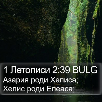 1 Летописи 2:39 BULG Bible Verse Image