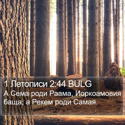 1 Летописи 2:44 BULG Bible Verse Image