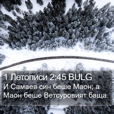 1 Летописи 2:45 BULG Bible Verse Image