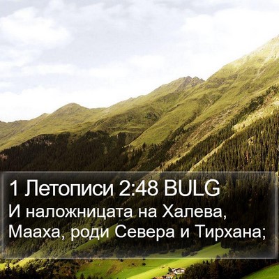 1 Летописи 2:48 BULG Bible Verse Image