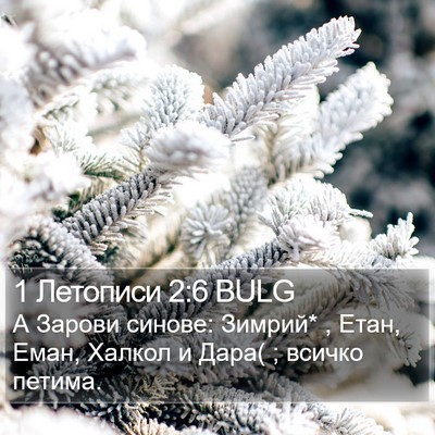 1 Летописи 2:6 BULG Bible Verse Image