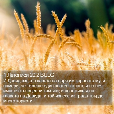 1 Летописи 20:2 BULG Bible Verse Image