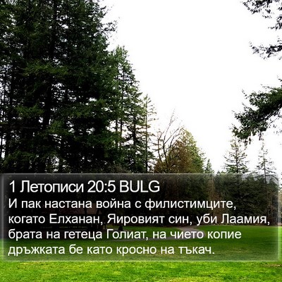 1 Летописи 20:5 BULG Bible Verse Image