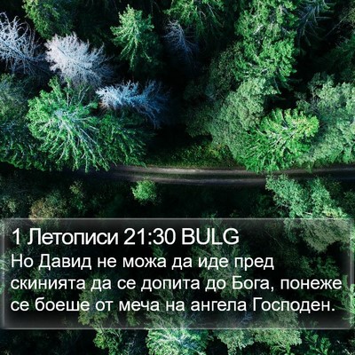 1 Летописи 21:30 BULG Bible Verse Image