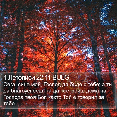 1 Летописи 22:11 BULG Bible Verse Image