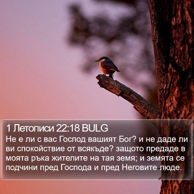 1 Летописи 22:18 BULG Bible Verse Image