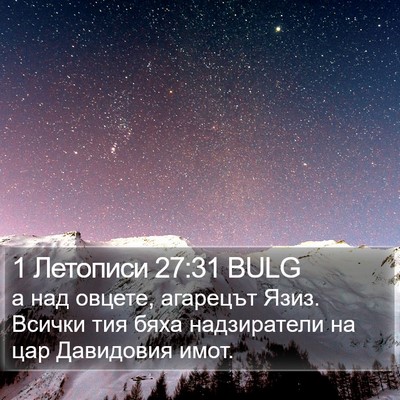 1 Летописи 27:31 BULG Bible Verse Image