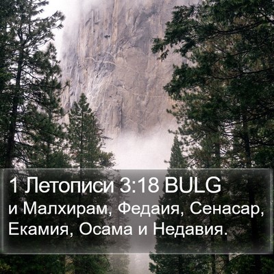 1 Летописи 3:18 BULG Bible Verse Image