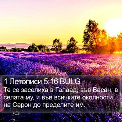1 Летописи 5:16 BULG Bible Verse Image
