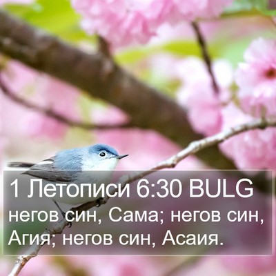 1 Летописи 6:30 BULG Bible Verse Image