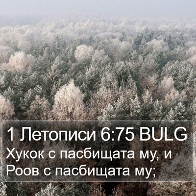 1 Летописи 6:75 BULG Bible Verse Image