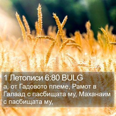 1 Летописи 6:80 BULG Bible Verse Image