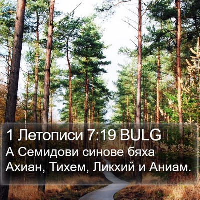 1 Летописи 7:19 BULG Bible Verse Image