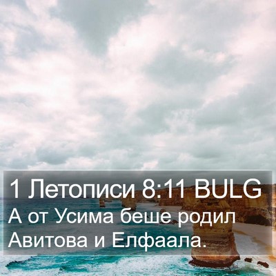 1 Летописи 8:11 BULG Bible Verse Image