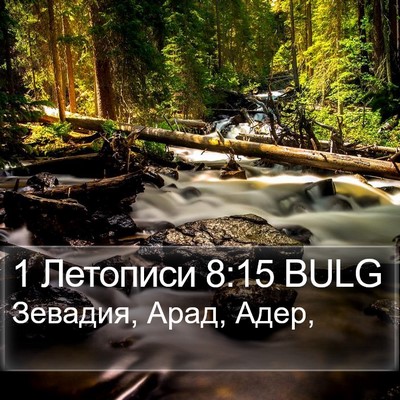1 Летописи 8:15 BULG Bible Verse Image