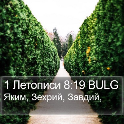 1 Летописи 8:19 BULG Bible Verse Image