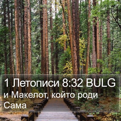 1 Летописи 8:32 BULG Bible Verse Image