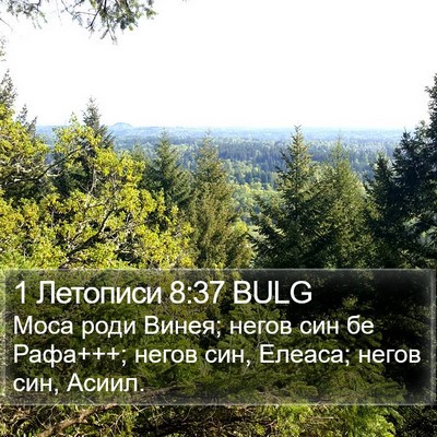 1 Летописи 8:37 BULG Bible Verse Image