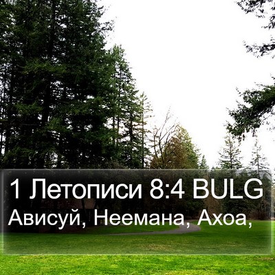 1 Летописи 8:4 BULG Bible Verse Image